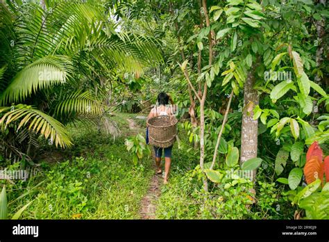 Cuipari Perú 1 De Octubre 2022 Un Agricultor Que Trabaja