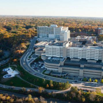 Medical School Inside Story | U-M LSA Science Learning Center (SLC)