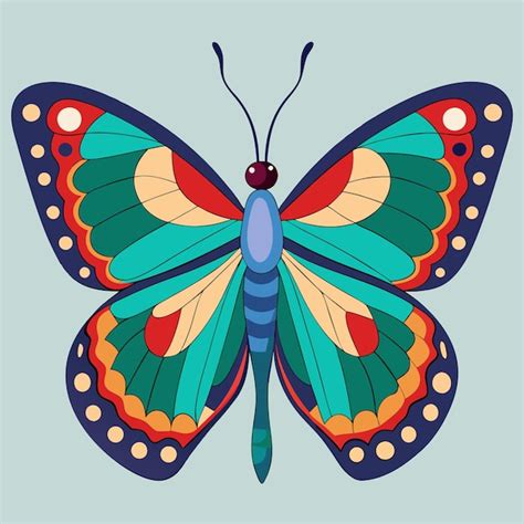 Cor De Borboleta Desenho - Desenho de ilustração vetorial de cores de borboleta | vetor Premium ...