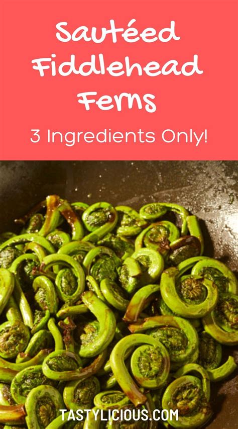 Sautéed Fiddlehead Ferns Easy Recipe Tastylicious Recipe