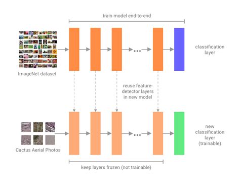 Easy Image Classification With Tensorflow 20 By Cameron Cruz Towards Data Science