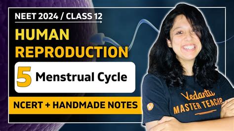 Menstrual Cycle Human Reproduction CBSE Class 12 Biology VEER