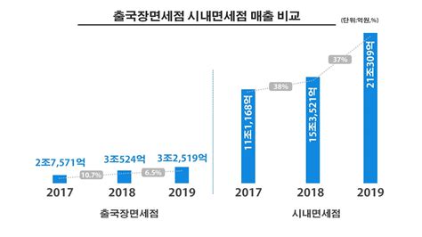 출국장면세점 시내면세점 매출 비교 Youtube