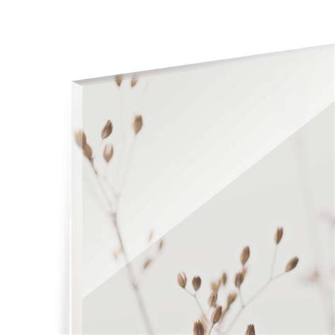 Zarte Knospen Am Wildblumenzweig Glasbild Im Hochformat Bilderwelten