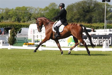 Austin O'Connor in front at Tattersalls International Horse Trials as ...