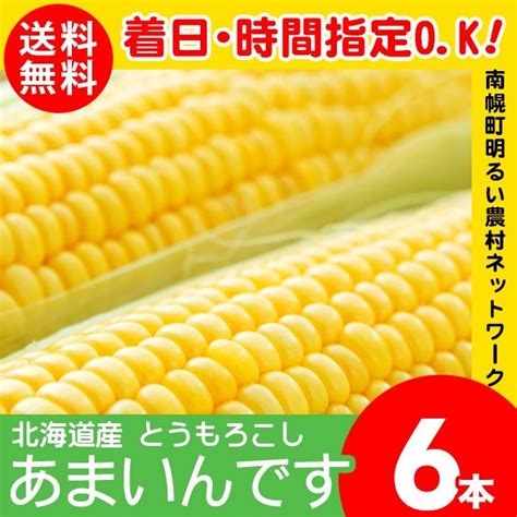 【2024年予約】 とうもろこし 送料無料 北海道産 あまいんです 6本入り 南幌町明るい農村ネットワーク トウモロコシ 甘い イエロー系