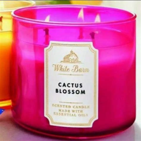 Promo Bath Body Works Bbw Cactus Blossom 3 Wick Scented Candle Diskon