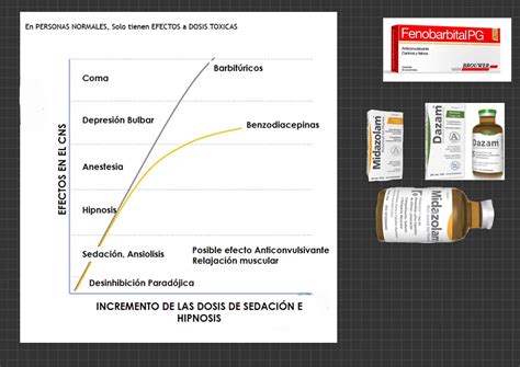 Farmacolog A Sistema Nervioso Central Pdf