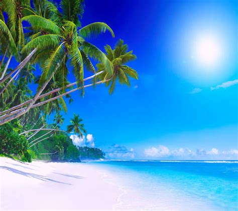 Sunshine Beach Wallpapers on WallpaperDog