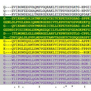 Matrix Of Human Fk Like Binding Domains Fkbds Used For The