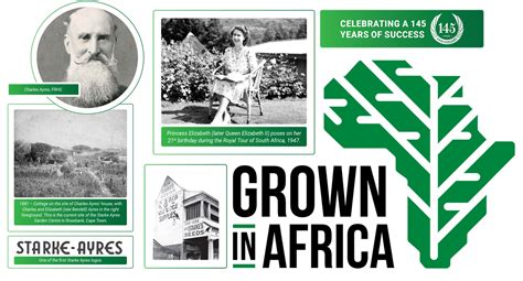 Starke Ayres Years Of Growing Africa Starke Ayres Starke Ayres