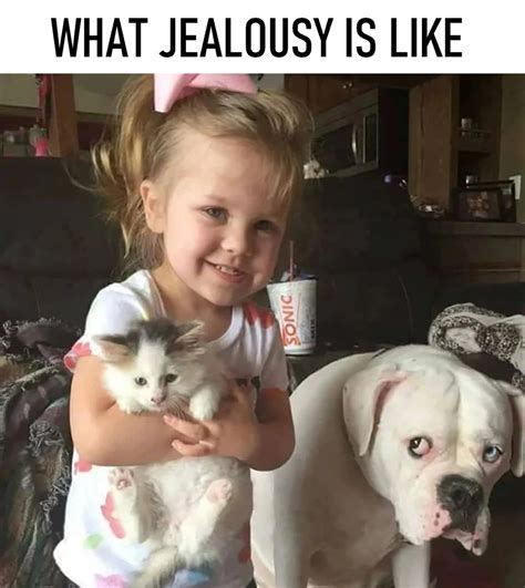 The best Jealousy memes :) Memedroid