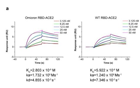 珠海出现 7例omicron，为什么说医务人员更该警惕？腾讯新闻