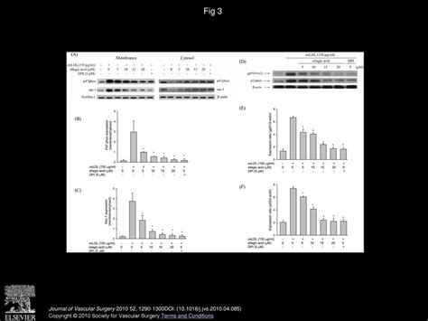 Ellagic Acid Inhibits Oxidized Ldl Mediated Lox Expression Ros