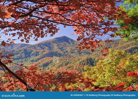 Fall Colors stock image. Image of changing, carolina - 44900407