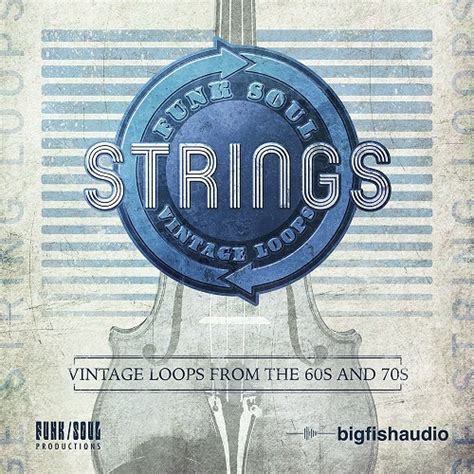 Funk Soul Vintage String Loops Big Fish Audio Bestservice En