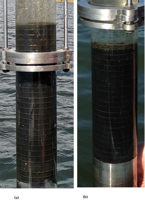 Examples Of Sediment Cores Taken At St 1 A And St 2 B Pics By R