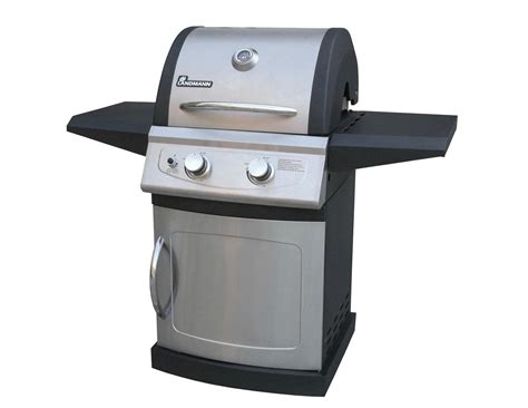 5 Best 2-Burner Gas Grills of 2019 | Reviewed & Rated