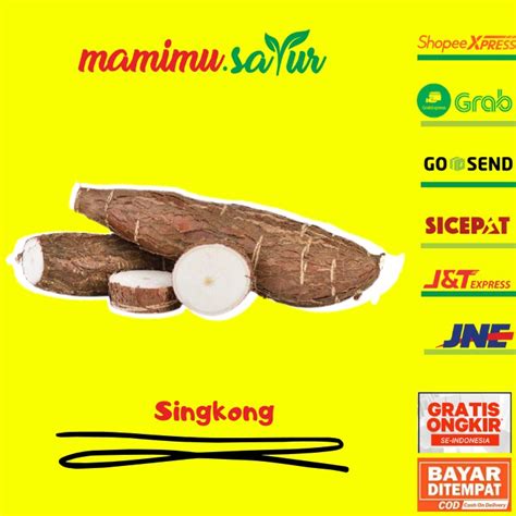 Jual SINGKONG 1 KG SINGKONG FRESH 1 KG SINGKONG SEGAR 1 KG SINGKONG 1KG