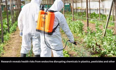 Health Risks From Endocrine Disrupting Chemicals In Plastics