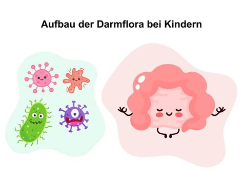 Aufbau Der Darmflora Bei Kindern Schwabe Austria