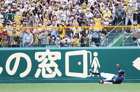 ノイジーの打球をスライディングキャッチしたサンタナを見つめる阪神ファン（撮影・岸 良祐） ― スポニチ Sponichi Annex 野球