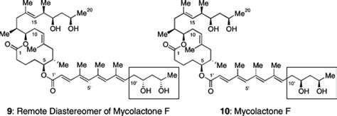 Total Synthesis And Stereochemistry Of Mycolactone F Journal Of The