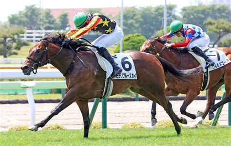 【函館5r・2歳新馬】北の大地で最初の新馬vはヒデノブルースカイ 新種牡馬ナダル産駒の初勝利 スポーツ報知