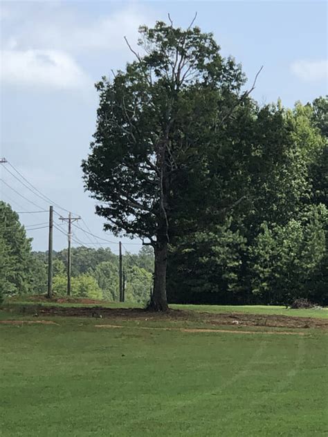 Land Grading Services Buchanan GA Backwoods LLC