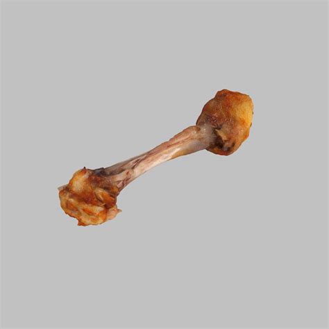 Diagram Chicken Leg Bone 8