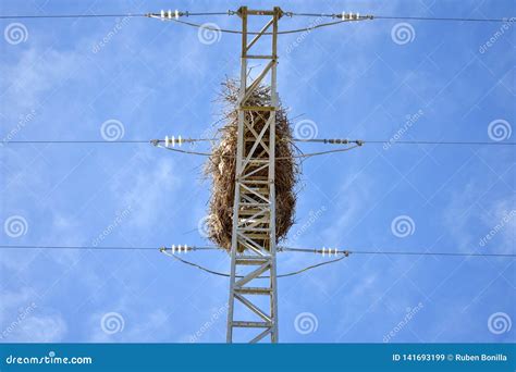 Nid Vide D Oiseau Fait Avec Des Branches Des Arbres En Haut D Une Tour