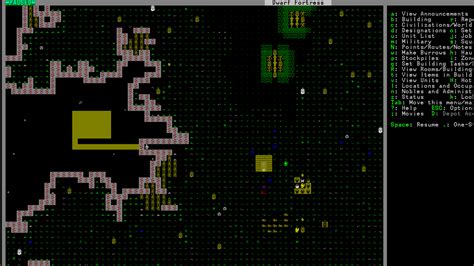 Dwarf Fortress Ascii 61 Photo