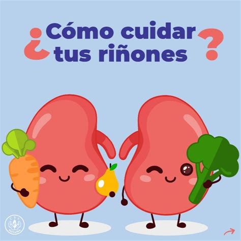 Cómo cuidar tus riñones Dolor de riñones Riñones Recetas para la