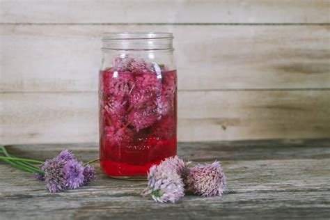 Chive Blossom Vinegar Recipe • The Prairie Homestead