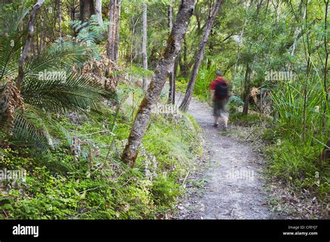 Pemberton Australia Hi Res Stock Photography And Images Alamy