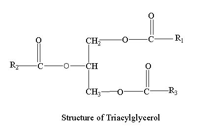 Introduction To Triacylglycerols Occurrence Structure Properties