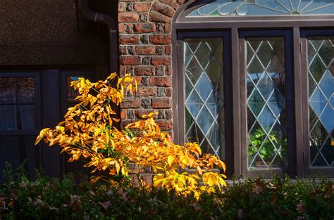 Autumn In The Gardens On Beechknoll Road Joe Shlabotnik Flickr