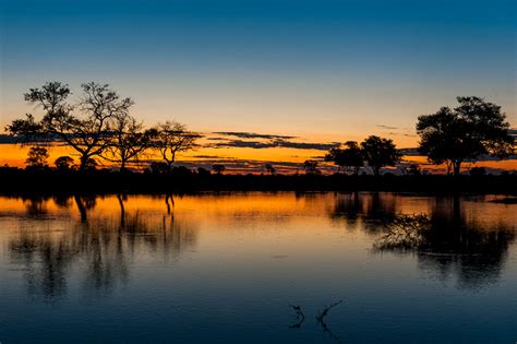 11 Day Botswana Photography Safari - WildNature Photo Expeditions