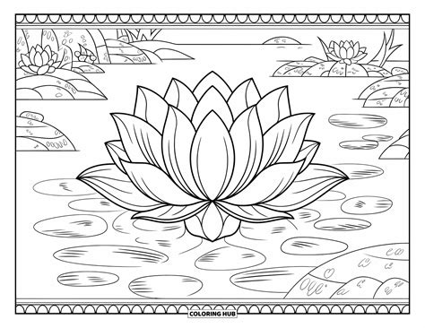 lotus coloring pages  kids adults