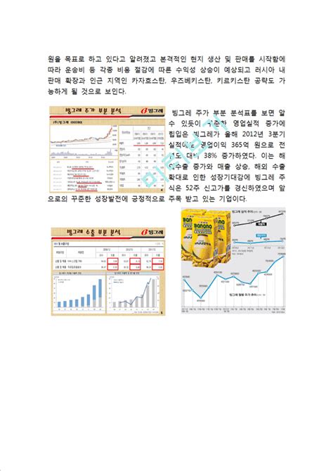 빙그레 바나나맛우유 마케팅전략분석과 바나나우유 중국시장진출 전략및 바나나맛우유 새로운 전략제안경영경제레포트