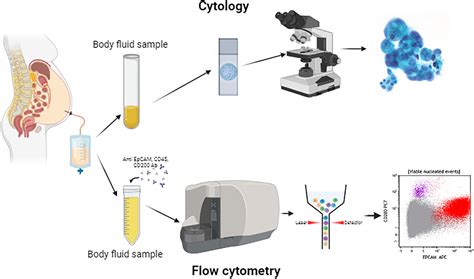 Simple And Rapid Flow Cytometry Assay For The Detection Of Malignant