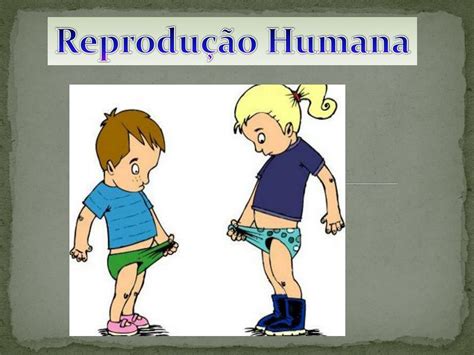 Ppt Reprodução Humana Powerpoint Presentation Free Download Id 5507337