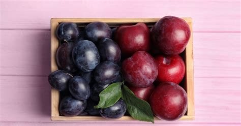 Quelle est la différence entre une prune et un pruneau Swissmilk