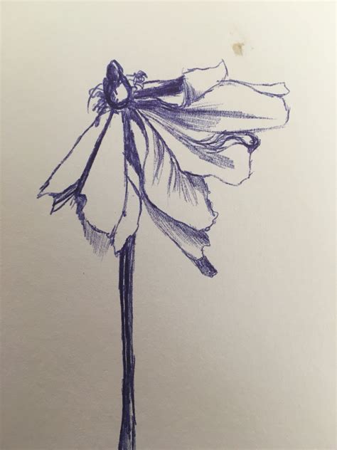 Dying Flower Drawing at PaintingValley.com | Explore collection of ...