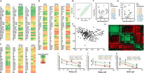 Frontiers Transcriptional Profiles Of Genes Related To Stress And