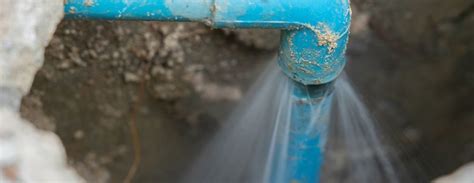 Signs You Have A Leaking Water Pipe Disaster Kleenup Specialists