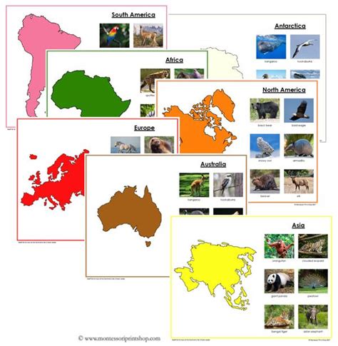 Animals of the 7 Continents - Set 2 (color-coded) | Montessori ...