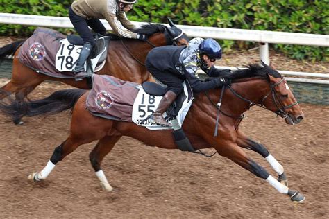 【アンタレスs】プロミストウォリア 重賞連勝へ万全、鮫島駿「状態は良さそう」― スポニチ Sponichi Annex ギャンブル