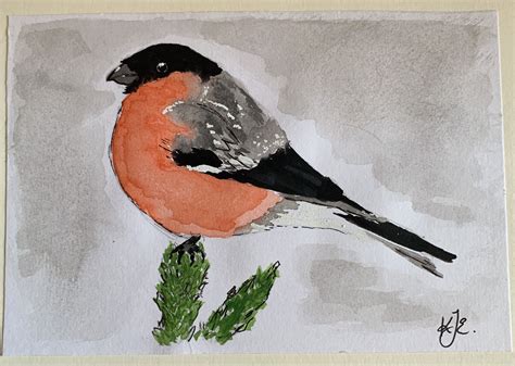 Bullfinch Art Painting Bullfinch