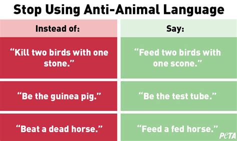 Using anti-animal language is like using racial slurs, PETA says